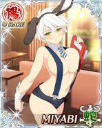 Bunny Waitress Miyabi