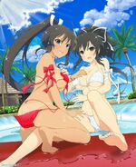 Asuka and Homura Pool-dbm3drl