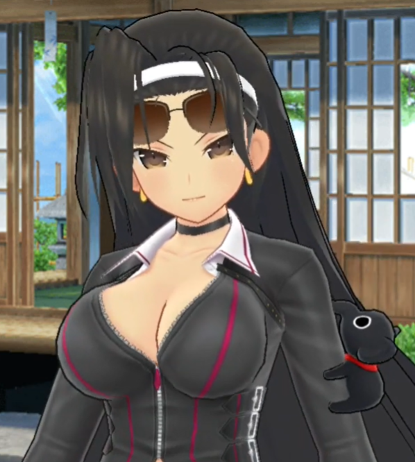 Senran Kagura Burst (3DS): Like the Shinobi Itself, you Cannot Always See  Everything There is to Know About Senran Kagura at First Glance - Guardian  Acorn