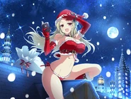 Santa Lingerie Shiki.jpg (141 KB)
