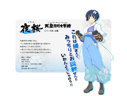 Shinobi Master Senran Kagura New Link Costume Redesigns