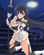 Ikaruga Shinobi Outfit Tearing