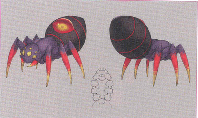 Baby Spider Yoma