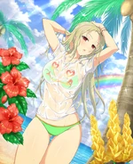 Shiki Wet T-Shirt Paradise.jpg (259 KB)