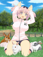 Rabbits Hibari