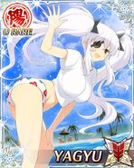 Yagyu4