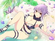Ayane's New Swimsuit.jpg (174 KB)
