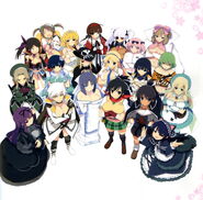 Senran Kagura: Shinovi Versus package illustration - Limited edition