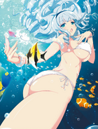 Ginrei Ocean Swim