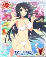 Ikaruga Poolside