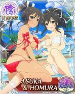 Asuka and Homura Pool-dblzcno