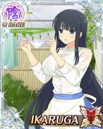 Ikaruga 24