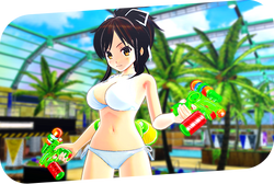 Senran Kagura: Peach Beach Splash - Official Site