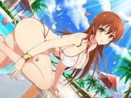 Kasumi Swimsuit.jpg (187 KB)