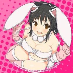 Peach Ball: Senran Kagura