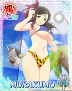 Murakumo beach bikini