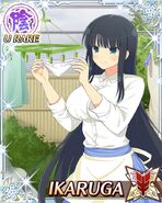 Ikaruga 23