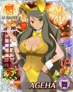 Dice Golden Bunny Ageha