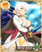 Shinobi Tenshin Miyabi (2)