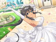 Homura Bride (2022)