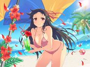 Beach Time Ayame