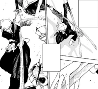 Kiri's swordsmanship style