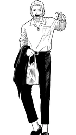 Togo Shiba Full Body