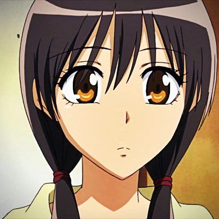 Suzuna Ayuzawa | Wiki Kaichō wa Maid-sama! | Fandom