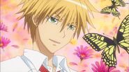 Usui with butterflies