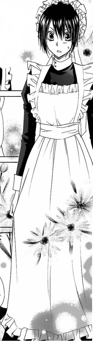 read kaichou wa maid sama 78