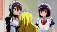 Aoi wants to wear the maid outfit