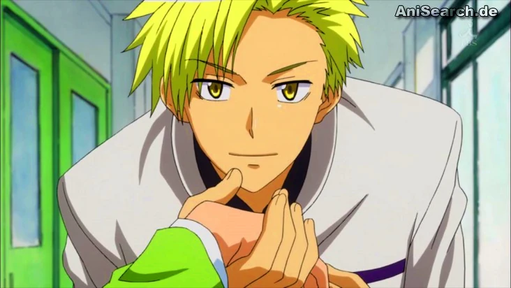 Tora Igarashi | Kaichou Wa Maid-Sama! Wiki | Fandom