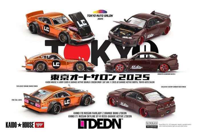 Nissan Skyline GT-R (R33) Garage Active LTDEDN | Kaido House 