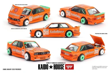 Nissan Skyline GT-R (R33) Imai Racing LTDEDN | Kaido House
