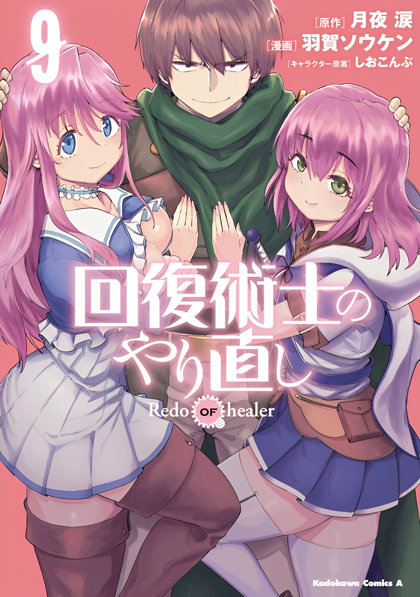 Light Novel Volume 9, Kaifuku Jutsushi no Yarinaoshi Wiki
