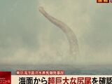 Godzilla (Shin Godzilla)