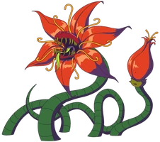 Carnivorous Dahlia