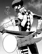 Vice-Captain Soshiro Hoshina's dual blades (destroyed)