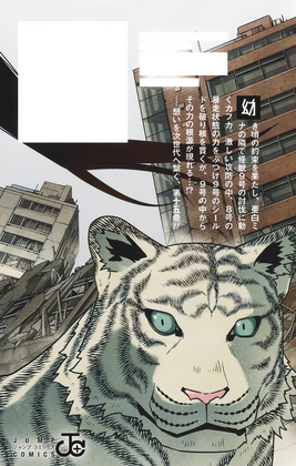 Japanese back cover 