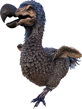 Dodo (Ark: Survival Evolved) | Kaijuwikia Wiki | Fandom