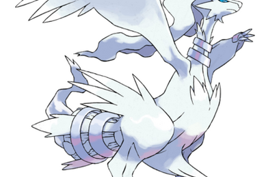 Reshiram, AlpheaPedia Wiki