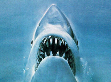 The Shark (Jaws) | Kaijuwikia Wiki | Fandom