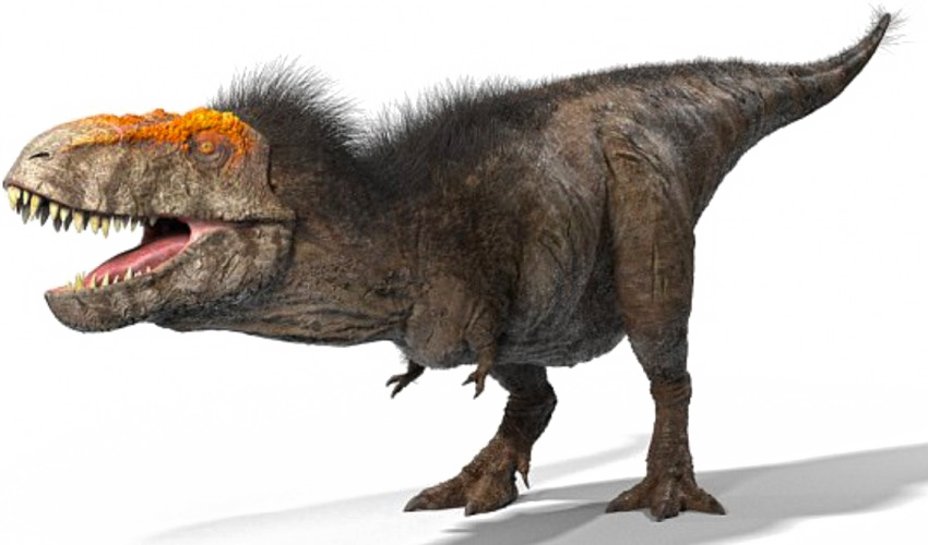 T RexTyrannosaurus Rex Png T Rex Dinosaur Png Dinosaur Png 