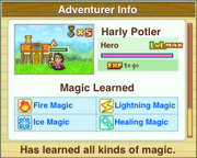 All Magic Learned (Dungeon Village)