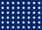 PSA Flag