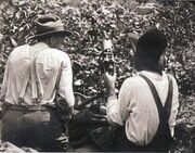 Union Miners during Battle of Blair Mountain