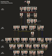 USA President Election Flowchart