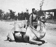 Anglo-Egyptian Sudan camel soldier
