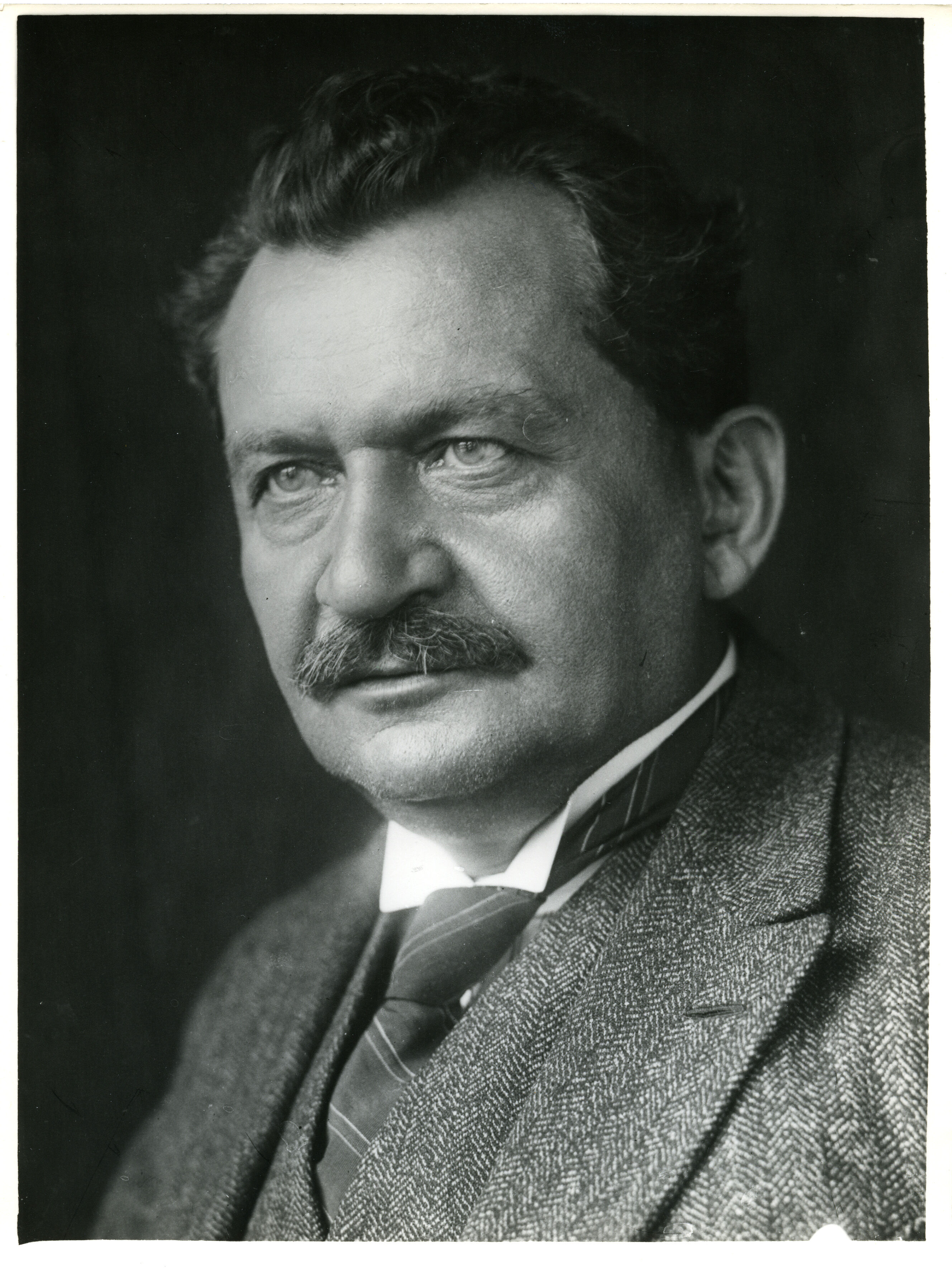 ドイツ帝国の政党 The Kaiserreich Wiki Fandom ドイツ帝国の政党 The Kaiserreich Wiki Fandom