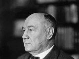 Wilhelm Solf